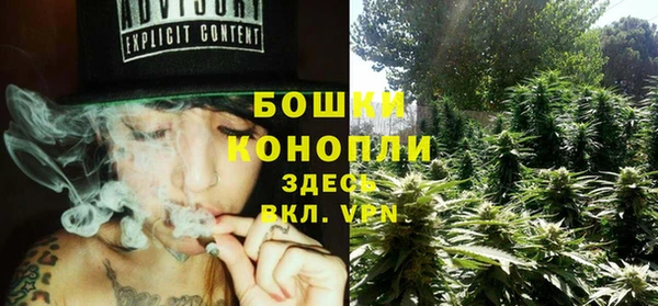сатива Майский