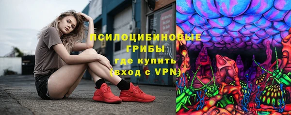 сатива Майский