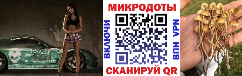 Псилоцибиновые грибы прущие грибы  цены наркотик  Новоалександровск 