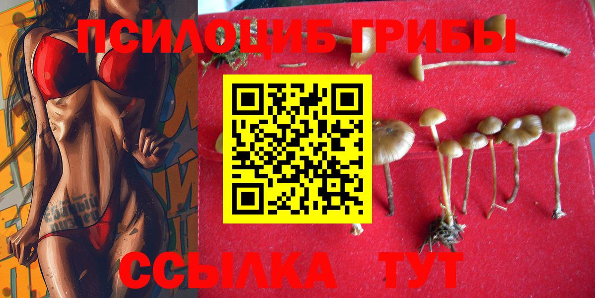 Новоалександровск  Псилоцибиновые грибы мухоморы  Вход с VPN 