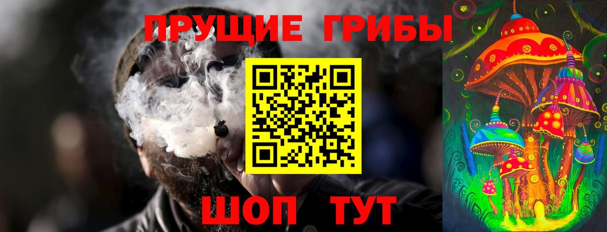 Галлюциногенные грибы мицелий  Новоалександровск 