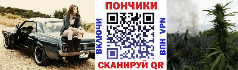 МАРИХУАНА сатива  ОМГ ОМГ маркетплейс  Новоалександровск  купить наркотик 